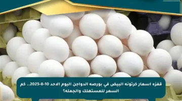 قفزة أسعار كرتونة البيض في بورصة الدواجن اليوم الأحد 10-8-2025.. كم السعر للمستهلك والجملة؟